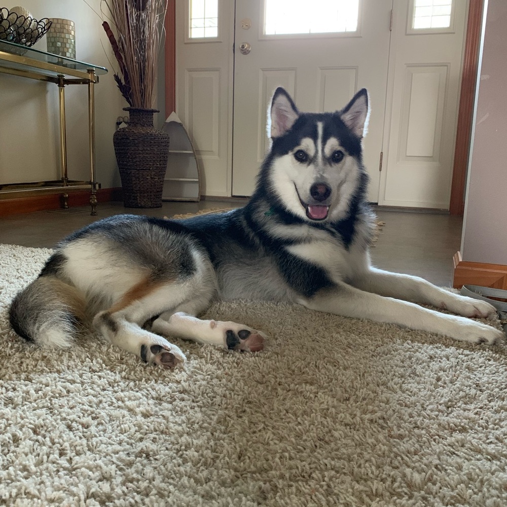 Meet your Posher, Angela